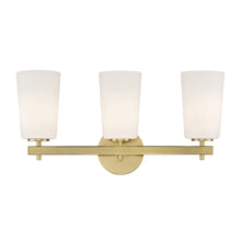 Load image into Gallery viewer, Colton 3 Light Sconce