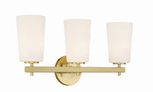 Load image into Gallery viewer, Colton 3 Light Sconce