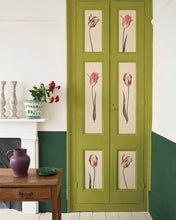 Load image into Gallery viewer, Wall Paint - Knightsbridge Green
