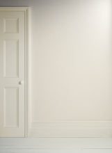 Load image into Gallery viewer, Satin Paint - Old White