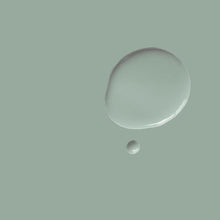 Load image into Gallery viewer, Satin Paint - Pemberley Blue