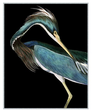 Load image into Gallery viewer, Stately Heron 2
