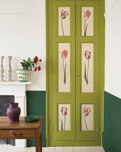 Load image into Gallery viewer, Wall Paint - Knightsbridge Green
